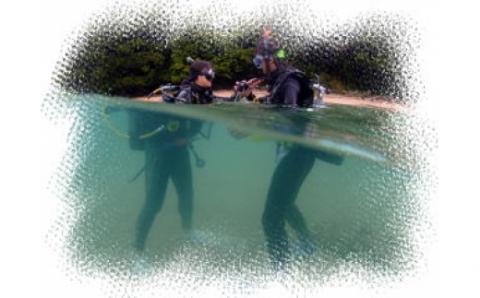 絶景竜串海中公園！ダイビング２ボート体験券（1名分）【初心者歓迎】チケット マリンスポーツ 観光【R01526】