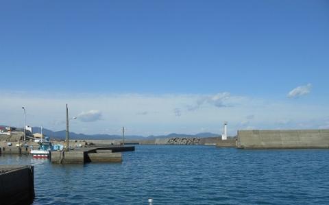 【先行受付】伊勢海老3.3kg（サイズおまかせ高知県産）※着日指定不可※エビ 甲殻類 海鮮BBQ アウトドア キャンプ お祝い【R00730】