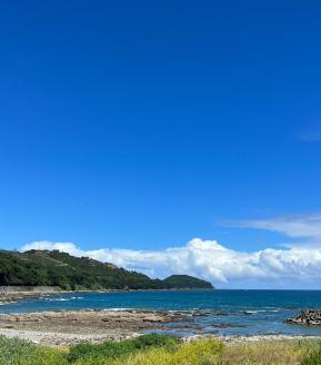 無添加 干物 カマスの開き３袋 合計９枚～12枚入り ヘルシー おつまみ 惣菜 魚介 焼き魚 時短料理【R00823】