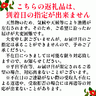 【令和８年３月発送】土佐清水産天然ぶり まるごと１本（5kg～8kg）下処理あり（内臓除去済）【※着日指定不可※】鮮魚 鰤 ブリ ぶり大根 刺身 ぶりしゃぶ 天然【R00874】
