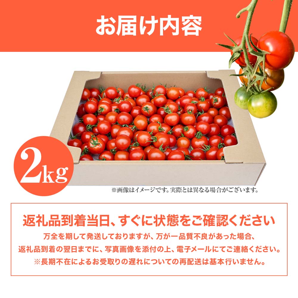 トマト魂！峯本の贅沢フルティカトマト（中玉サイズ）2kg 2キロ  ミディトマト フルーツトマト トマト ふるさと納税 フルティカ とまと サラダ 野菜 美味しい 甘い【R01032】
