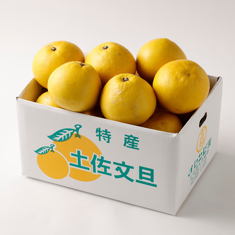 【令和８年発送】オレンジ園の土佐文旦５kg  柑橘 フルーツ ミカン みかん 蜜柑 ザボン ぶんたん ブンタン 果物 くだもの 果汁 おやつ デザート 食品 甘い 酸味【R01088】