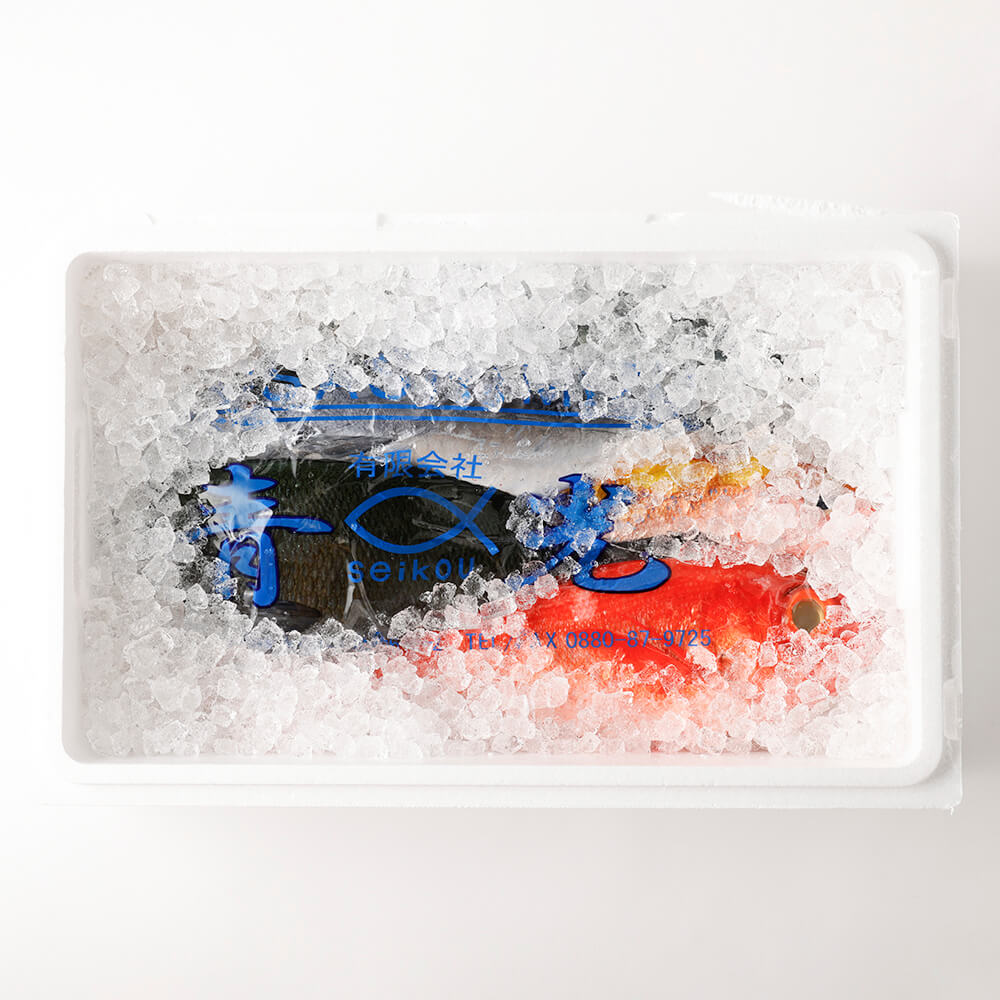 おまかせ！季節の鮮魚 お楽しみセット（アクアマリンコース）天然魚 食べ比べ 魚介類 海鮮料理 お楽しみ 詰め合わせ 鮮魚 魚 刺し身 煮付け 20000円 2万円  土佐清水市 高知【R01094】