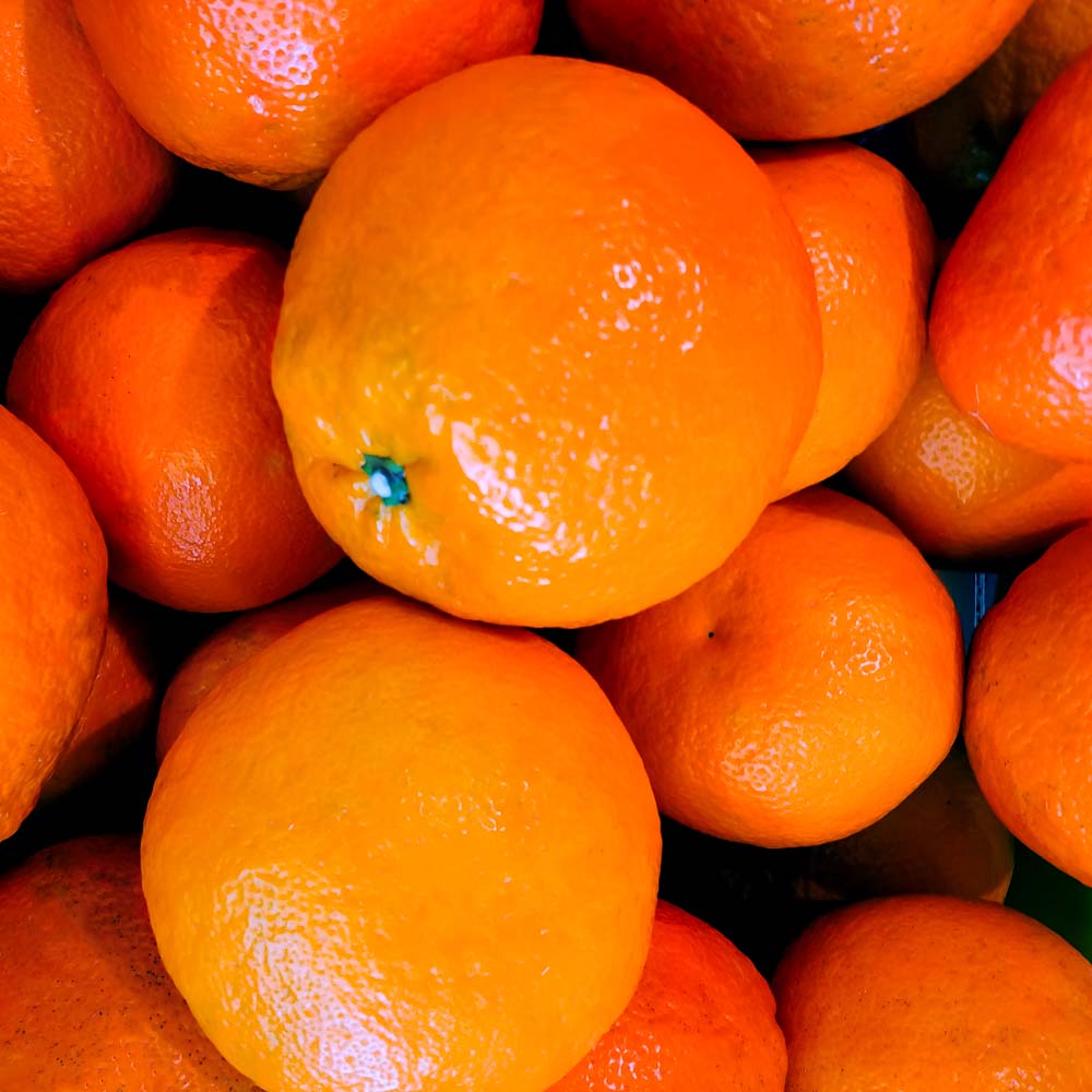 【令和８年発送】内原農園の減農薬栽培 ぽんかん（Lサイズ）5キロ 贈答用 みかん 蜜柑 ミカン 柑橘 かんきつ ポンカン フルーツ オレンジ 果物 くだもの 甘い ジューシー 高知【R01097】