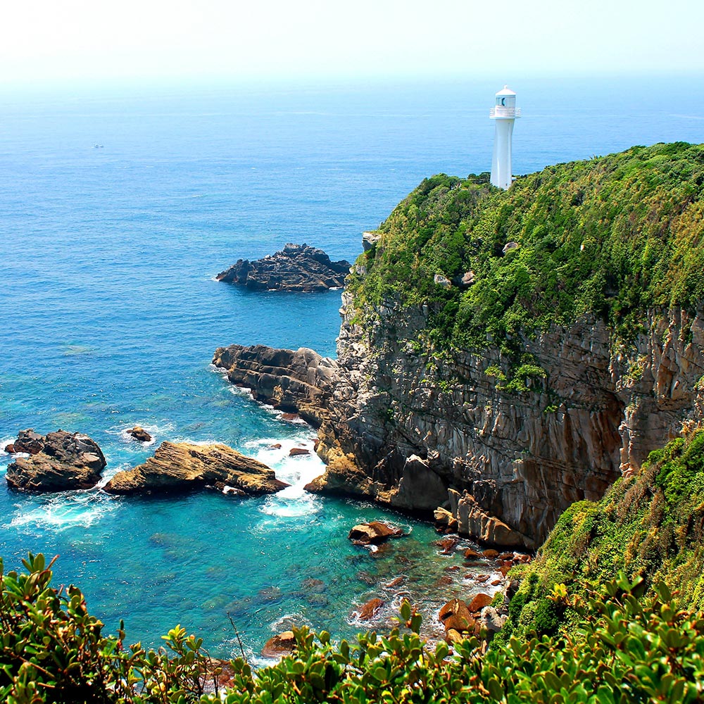 一括寄附で4つの事業を応援！返礼品なし 100,000円（子ども食堂・引退馬の余生応援・椿の森再生・まちづくり支援）10万円 子供 子育て 福祉 動物保護 自然保護 環境整備 教育 自然【R01226】