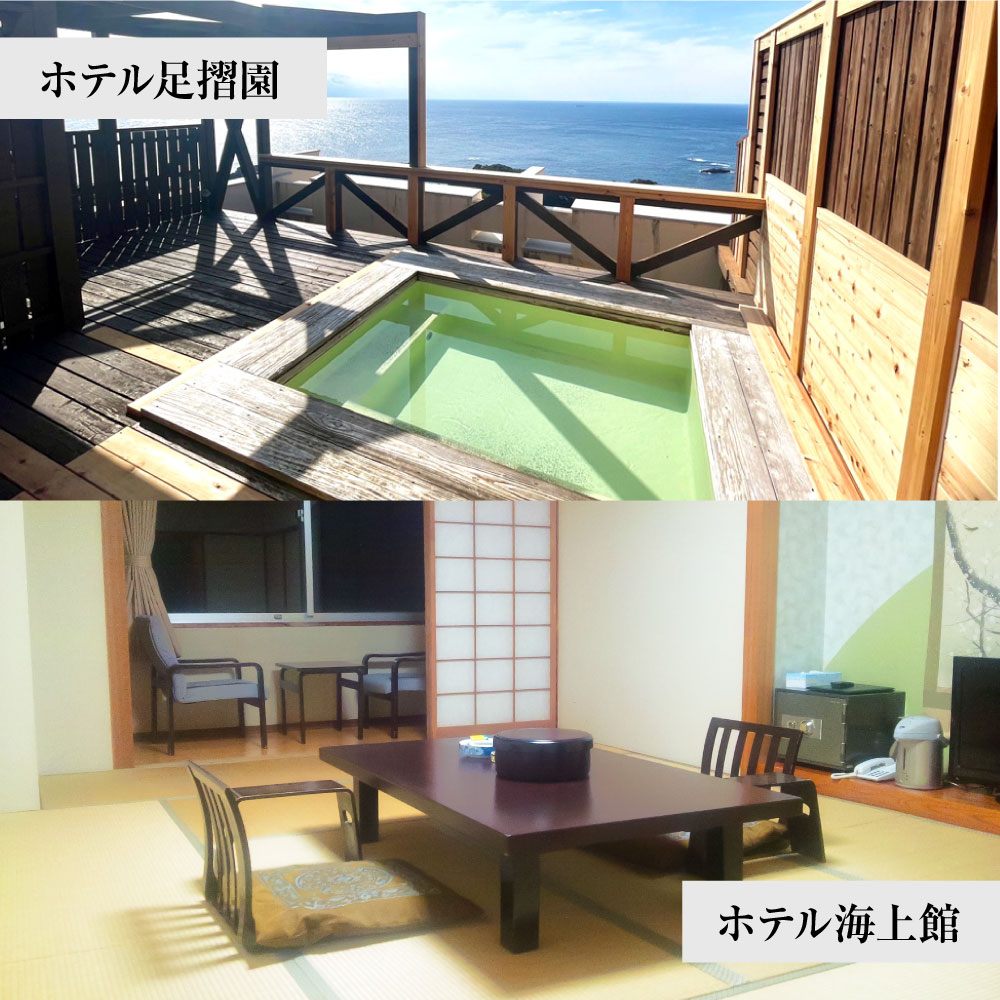 あしずり温泉郷 共通宿泊クーポン券 60,000円分 あしずり温泉郷 旅行券 トラベル ペア 家族 温泉 ホテル 観光 旅行 国内旅行 宿泊 宿泊施設 自然 旅館 高知県 土佐清水市【R01318】