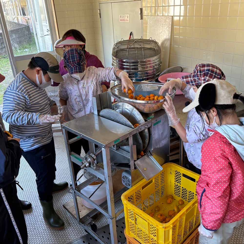 【先行予約　令和７年９月末より発送予定】シークワーサーパウンドケーキ(4個入り)とシークワーサー果汁セット(300ml) チョコチップ 洋菓子 焼き菓子 ケーキ スイーツ デザート おやつ シークヮーサー シークアーサー【R01334】