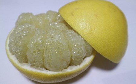 【R8年発送】＜訳あり＞ 柑橘バラエティーセット（５kg） みかん 果物 果実 フルーツ デザート 健康 美味しい お楽しみ 詰め合わせ 文旦 ぽんかん はるか 麗紅 10000円 1万円【R01374】