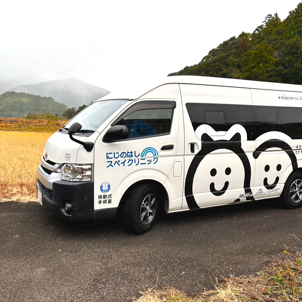 のらねこゼロプロジェクト 一口 1,000円（300円分）返礼品なし 保護猫 ネコ 猫 ねこ 動物 保護 愛護 TNR活動応援 支援 寄付 殺処分ゼロ 千円ポッキリ クラウンドファンディング クラファン【R01382】