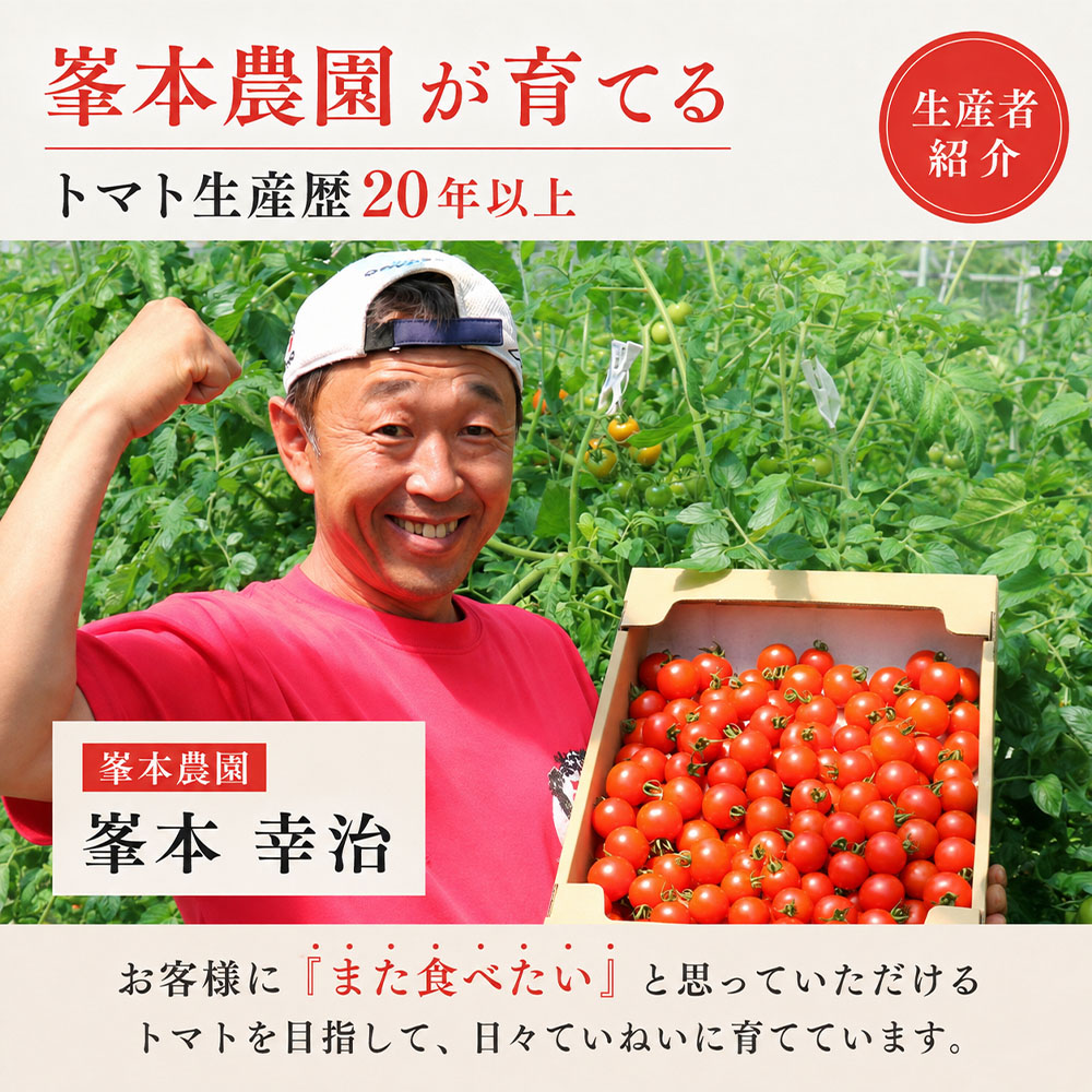 【11月発送】トマト魂！峯本の贅沢フルティカトマト（中玉サイズ）1kg 1キロ ミディトマト トマト ふるさと納税 フルティカ とまと サラダ 野菜 美味しい【R01409】