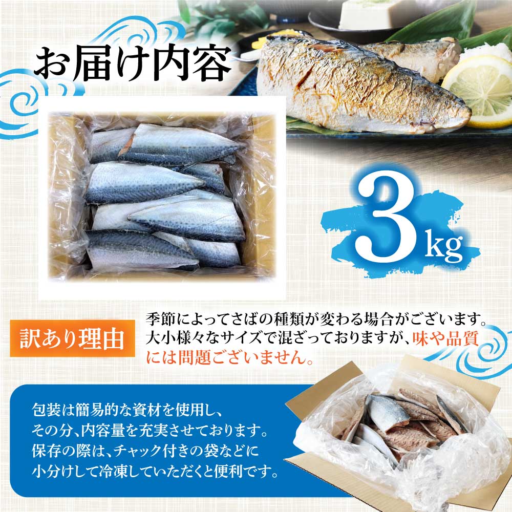 訳あり 塩サバ 3kg 約18枚 さば 鯖 味付き 魚介 海鮮 魚 おかず お弁当 ご飯 食品 保存食 簡単 国産 冷凍 配送【R01426】