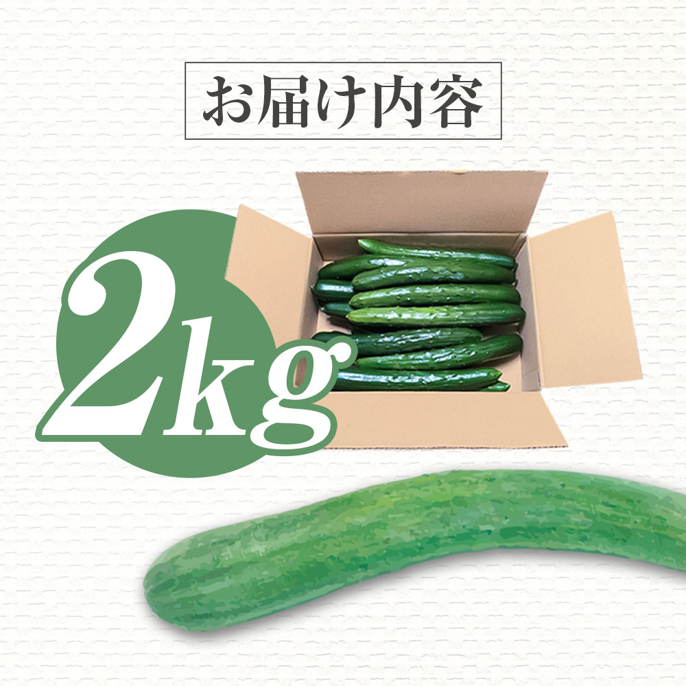きゅうり 2kg 2キロ キュウリ 野菜 新鮮 サラダ 漬物 浅漬け ぬか漬け 酢の物 炒め物 健康 高知県 土佐清水市【R01451】