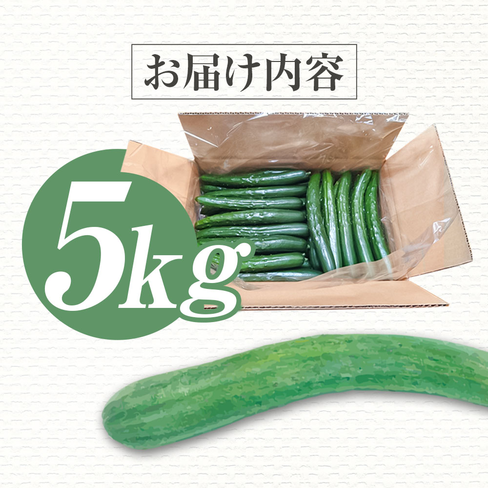 きゅうり 5kg 5キロ キュウリ 野菜 新鮮 サラダ 漬物 浅漬け ぬか漬け 酢の物 炒め物 健康 高知県 土佐清水市【R01452】