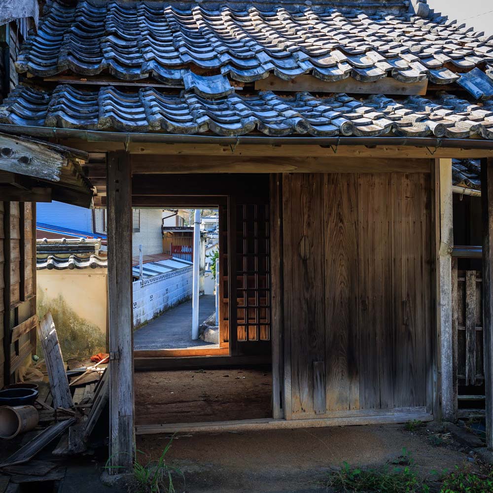 松尾地区 集落歩きツアー 2人分 観光 地元ガイド付き チケット アコウ 松尾天満宮 足摺半島 家族旅行 旅行 国内旅行 自然 神社 文化 徒歩 高知県 高知 土佐清水市【R01505】