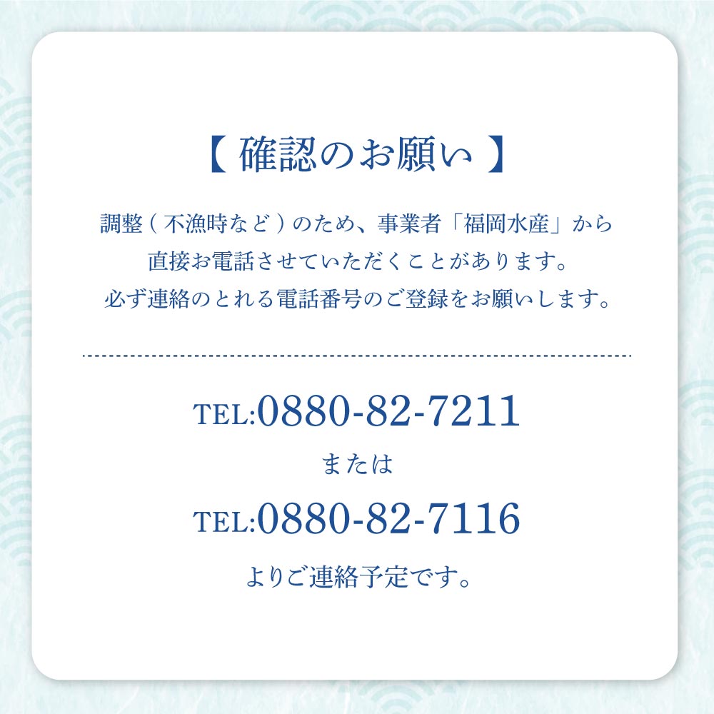 幻の天然セミエビ 約1.6kg~1.7kg（サイズおまかせ）※着日指定不可※漁師のごちそうをお届け！甲殻類 海老 海鮮BBQ えび エビ せみえび 冷蔵 配送 新鮮 美味しい 希少 高級食材 故郷納税【R01570】