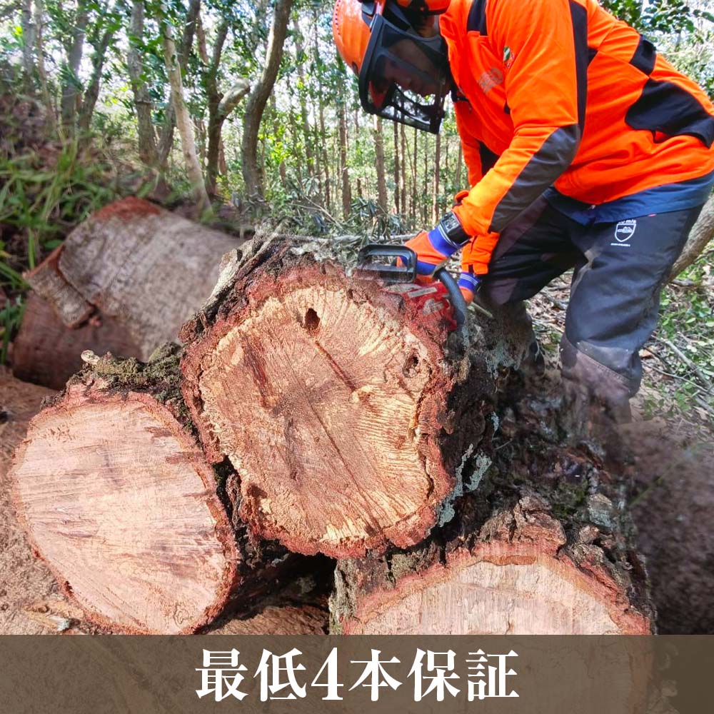 ウバメガシ極太薪 10kg 直径約10cm 最低4本保証 うばめがし まき 焚き火 たきび キャンプ 薪ストーブ 暖炉 囲炉裏 アウトドア バーベキュー BBQ 災害備蓄 防災グッズ 広葉樹 木材 燃料 国産【R01658】
