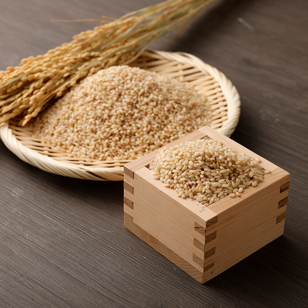 令和8年産 新米 コシヒカリ 玄米20kg（10kg×2袋）令和8年8月発送予定