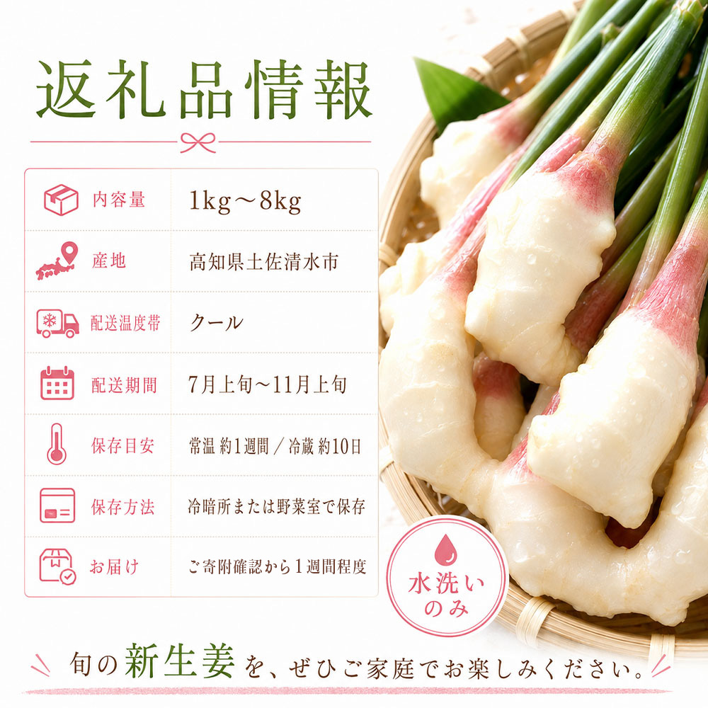 新生姜 8kg（4kg×2箱）水洗いのみ 生姜 生姜湯 ジンジャー しょうが ショウガ 8キロ 野菜 旬 季節限定 佃煮 甘酢漬け ジンジャーエール サラダ 新鮮 温まる 温活 冷え対策 国産 高知県 土佐清水市 送料無料【R01776】