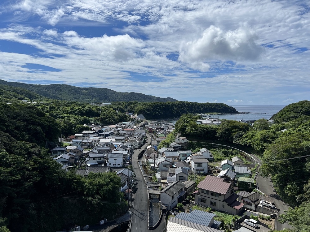 冷凍 うつぼの切り身 300g×２袋 から揚げ 天ぷら おつまみ 惣菜 フライ 珍味 魚介 ウツボ 高知【R00471】