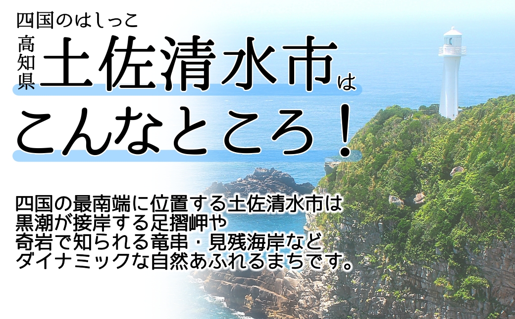 高知県土佐清水市 日本旅行 地域限定旅行クーポン 寄付額200,000円 クーポン60,000円分 ホテル 観光 旅行 交通費 国内旅行 クーポン 予約 宿泊 宿泊券 自然 旅館 ひとり カップル 夫婦 親子 高知県 高知 土佐清水市 足摺岬【R01429】