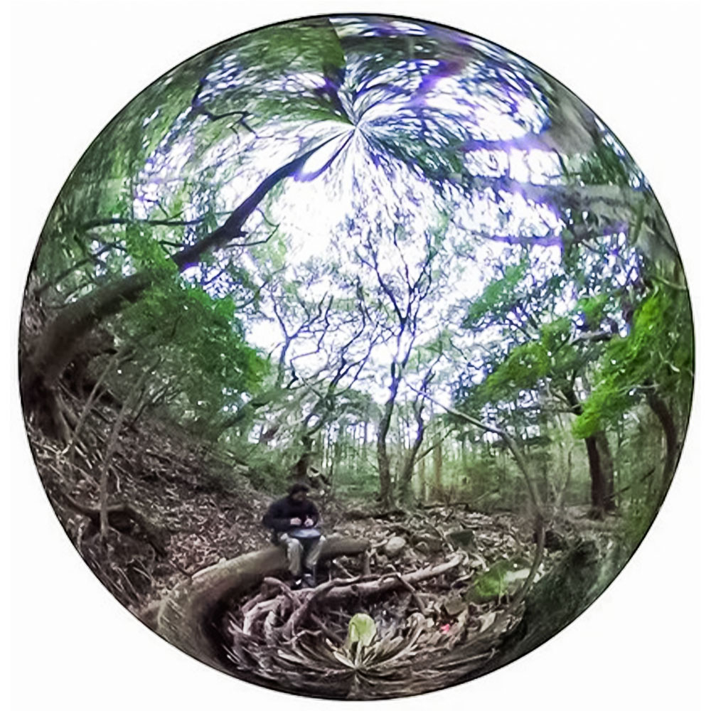 ヒーリング 音楽 CD セラピー 自然音 BGM リラックス 癒し 高知の自然音 ヨガ 雑貨 日用品 睡眠 入眠 神秘 スピリチュアル チルミュージック プレゼント【R01501】