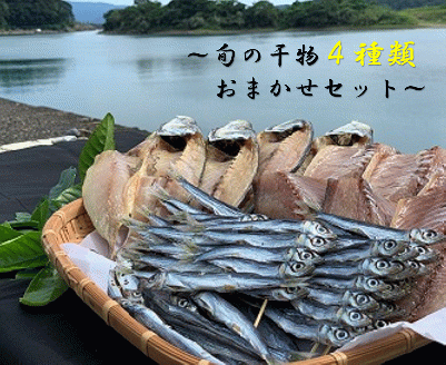 旬の干物４種類おまかせセット　無添加 お楽しみ 干し魚 健康食品 おかず 惣菜 おつまみ【R00764】