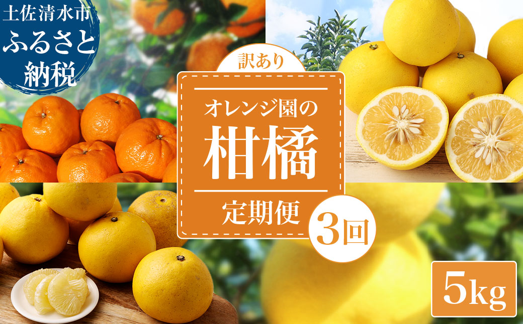 【令和８年発送】＜ 訳あり＞ オレンジ園の柑橘3種（ぽんかん・文旦・小夏）各5kg 3回定期便 ポンカン ぶんたん こなつ 果物 蜜柑 みかん ミカン 柑橘 フルーツ デザート 国産 常温 配送【J00102】