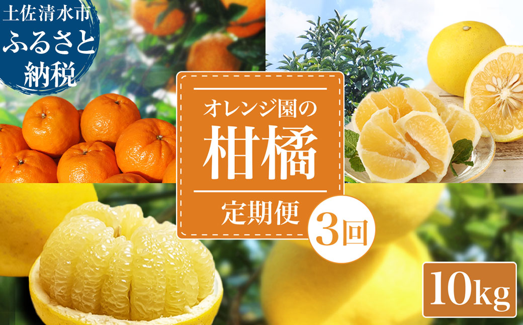 【令和８年発送】 オレンジ園の柑橘3種（ぽんかん・文旦・小夏）各10kg 3回定期便 ポンカン ぶんたん こなつ 果物 蜜柑 みかん ミカン 柑橘 フルーツ デザート 国産 常温 配送【J00105】