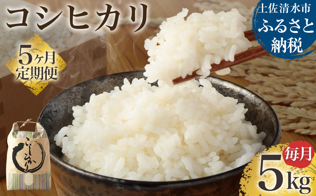 【先行予約】令和6年産 新米 コシヒカリ精米5kg（1袋）5回定期便 白米 お米 ご飯 米 こめ コシヒカリ こしひかり 高知県産 5キロ 故郷納税 返礼品 高知 土佐清水市 【J00129】