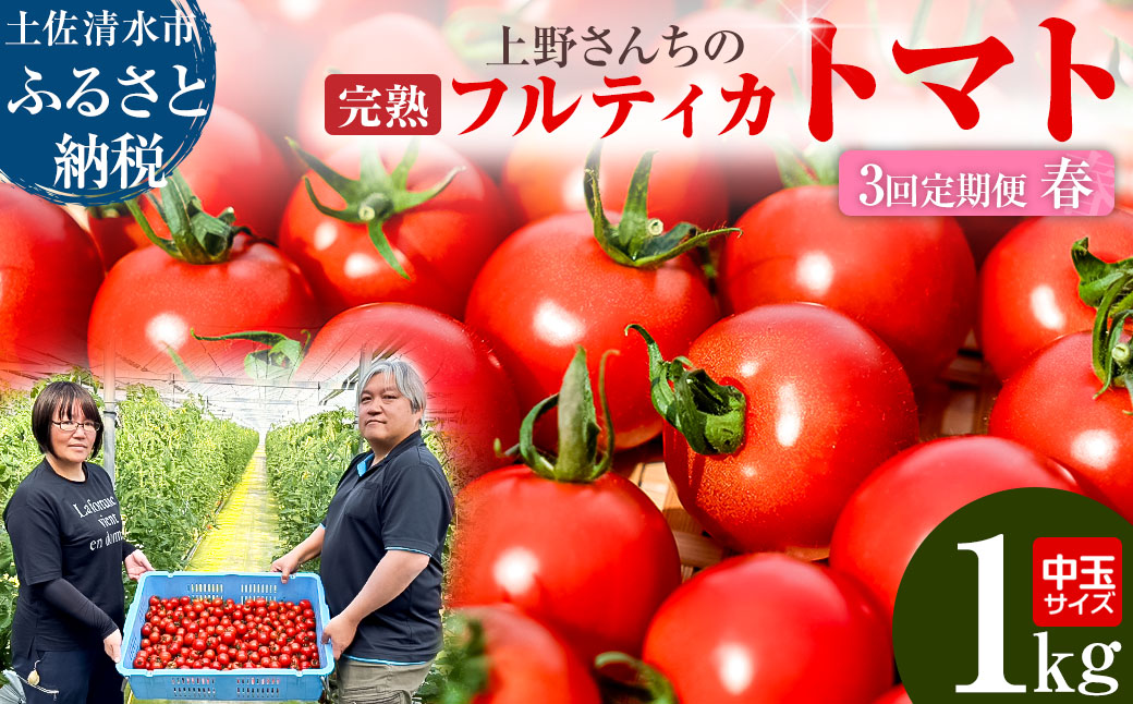 完熟フルティカトマト1kg（中玉サイズ）3回定期便 春 3月/4月/5月にお届け 天然地下水使用  完熟ミディトマト とまと 1000g 1キロ 野菜 サラダ 料理 美味しい ギフト 国産 高知県 土佐清水市【J00221】