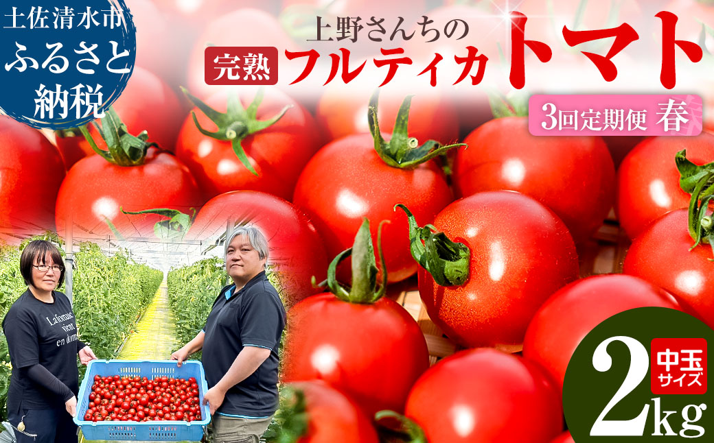 完熟フルティカトマト2kg（中玉サイズ）3回定期便 春 3月/4月/5月にお届け 天然地下水使用  甘熟ミディトマト フルーツトマト とまと 2000g 2キロ 野菜 サラダ 料理 美味しい 甘い ギフト 国産 高知県 土佐清水市【J00223】