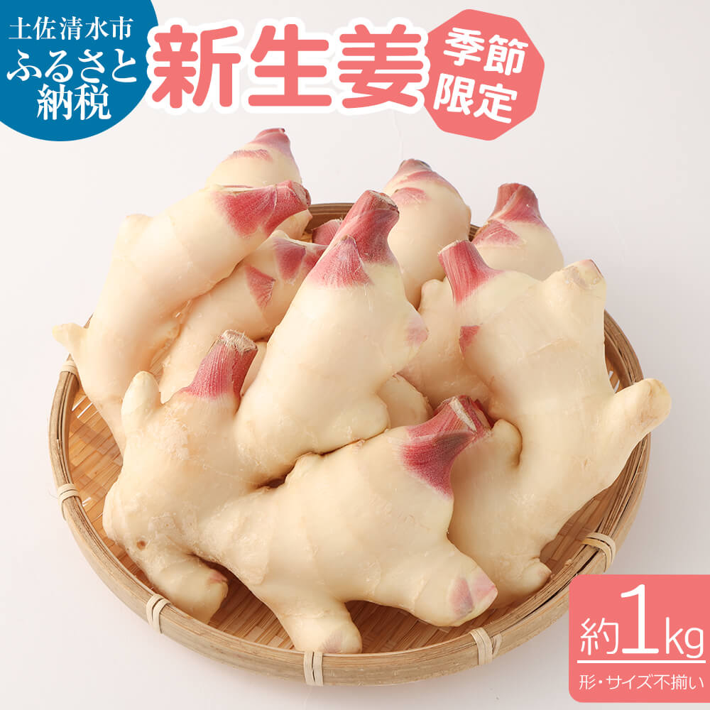 【先行受付】新生姜１kg 季節限定 農家直送 1キロ 甘酢漬け ガリ 佃煮 ジンジャーエール しょうが ショウガ 佃煮 甘酢漬け 食品 新鮮 温まる 温活 冷え対策 国産【R01547】