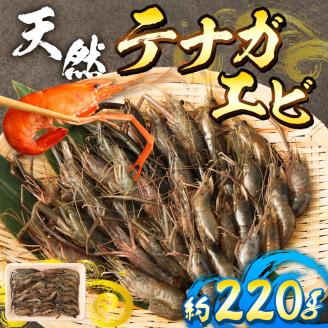 天然テナガエビ１パック（冷凍 約220g）川えび 素揚げ から揚げ 煮付け 甲殻類 冷凍 川 エビ 天然 テナガエビ 手長エビ 高知県産 冷凍配送 【R00026】