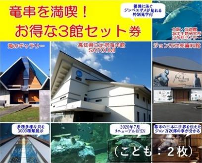 水族館・資料館・展示館　ぐるっと竜串　お得な3館入場券セット（小学生～高校生までの子供２名用）高知県土佐清水市 観光チケット 旅行券 トラベル【R00115】