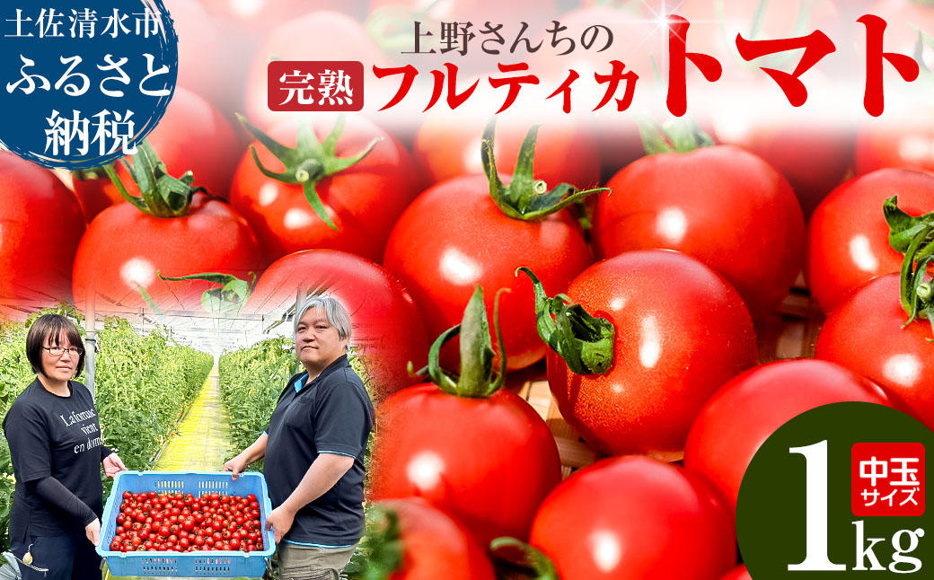 完熟フルティカトマト１kg（中玉サイズ）天然地下水使用 　甘熟ミディトマト フルーツトマト とまと 1000g 1キロ 野菜 サラダ 料理 ギフト 国産 高知県 土佐清水市【R00130】