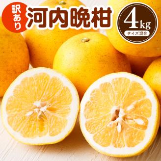 【減農薬 訳あり】谷川果樹園の河内晩柑4キロ（サイズ混合）フルーツ みかん 柑橘 果物  夏文旦 夏ぶんたん バンカン 八朔 家庭用【R00144】