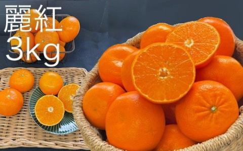 【R8年発送】早川農園の麗紅（れいこう）３kg みかん 柑橘 フルーツ せとかの姉妹品種 糖度 甘い 薄皮 果物 果肉 果汁 たっぷり 冬ミカン 3キロ デザート おやつ 美味しい 【R00233】