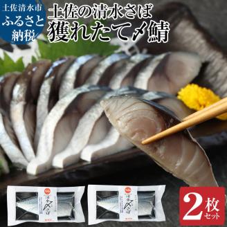 獲れたて土佐の清水さば 〆鯖2枚セット（ブランドゴマサバ・1枚あたり約170g～210g）刺身 フィレ 切り身 骨なし さば サバ シメ鯖 鯖 魚 魚介類 冷凍 高知県 土佐清水市【R00278】