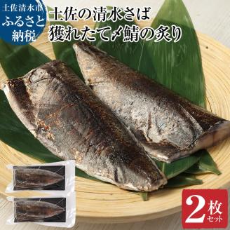 獲れたて土佐の清水さば 炙り〆鯖2枚セット（ブランドゴマサバ・1枚あたり約170g～210g） フィレ 寿司 切り身 骨なし あぶり さば サバ 鯖 魚 魚介類 高知県 土佐清水市【R00279】