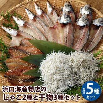 浜口海産物店のじゃこ2種と干物3種セット　シラス 無添加 釜揚げ しらす丼 ちりめん丼【R00283】