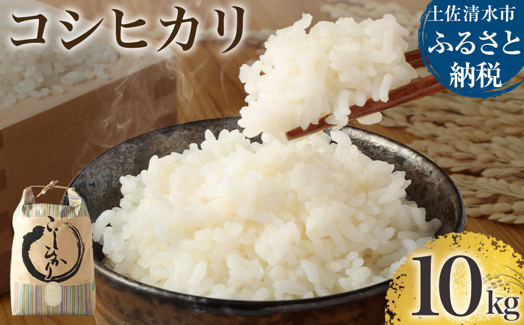 【先行予約】令和6年産 　新米　コシヒカリ精米10kg（1袋）白米 お米 ご飯 米 kome こめ コシヒカリ こしひかり 高知県産 10キロ 故郷納税 返礼品 高知 土佐清水市 【R00355】