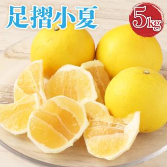 【先行予約】 早川農園の足摺小夏（5kg）日向夏 みかん ニューサマーオレンジ  柑橘 フルーツ こなつ 小夏 果物 特産 5キロ S～Lサイズ混合 美味しい 高知 【R00397】