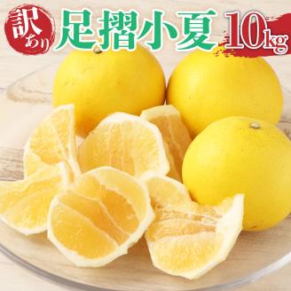 【先行予約】<訳あり>  早川農園の足摺小夏 10kg 日向夏 みかん 柑橘 フルーツ こなつ 小夏 ニューサマーオレンジ ワケあり 訳 美味しい おやつ 果物 高知 【R00435】
