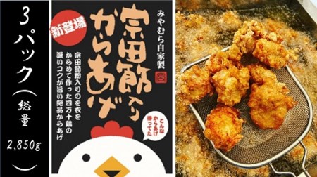 宗田節入りからあげ（冷凍950g）×３パック 鶏むね肉 唐揚げ 揚げるだけ 簡単 おつまみ ビール お弁当 惣菜 おかず 冷凍食品 時短 おいしい 国産 【R01663】