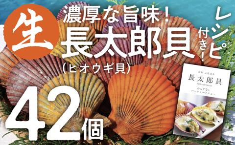  ヒオウギ貝42個セット（ホタテの仲間）アウトドア キャンプ 海鮮BBQ 魚貝  生 貝殻付 活 貝柱 酒蒸し バーベキュー【R00570】