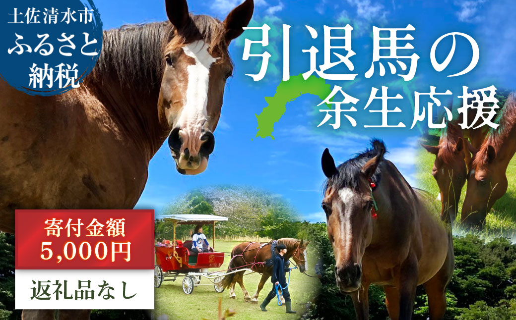 引退馬 余生支援 5,000円コース 返礼品なし 養老馬 競走馬 引退競走馬 馬支援 競馬 馬 うま ウマ 馬支援 動物 あしずりダディー牧場 高知県 土佐清水市【R01529】