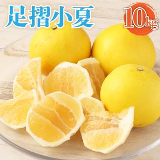【先行予約】 早川農園の足摺小夏（10kg）日向夏 みかん ニューサマーオレンジ  柑橘 フルーツ こなつ 小夏 果物 特産 10キロ S～Lサイズ混合 美味しい 高知 【R00601】