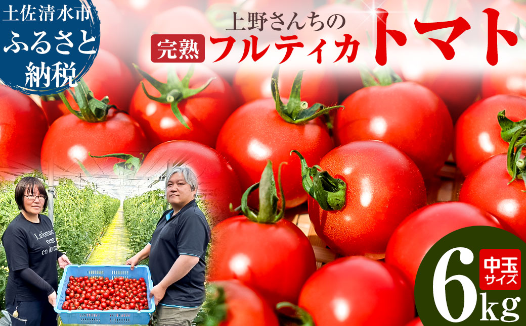 完熟フルティカトマト6kg（中玉サイズ）天然地下水使用 　甘熟ミディトマト フルーツトマト とまと 6000g 6キロ 野菜 サラダ 料理 ギフト 国産 高知県 土佐清水市【R00631】