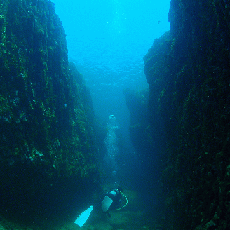 絶景竜串海中公園！ファンダイビング２ボート体験券(Cカード所有者1名用)チケット マリンスポーツ 観光【R01523】