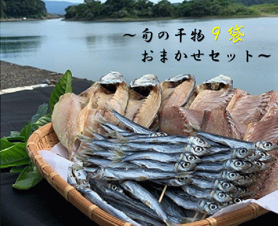 旬の干物９袋おまかせセット　無添加 お楽しみ 干し魚 健康食品 おかず 惣菜 おつまみ【R00771】